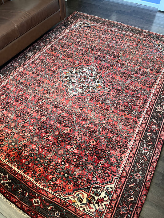 Vintage Rug #104 - 9'4.5" x 6'0"