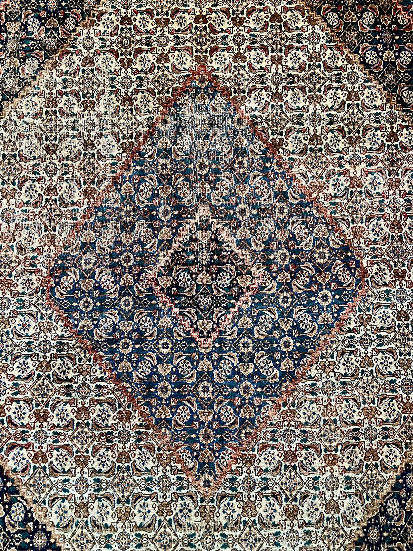 Vintage Rug #107 - 9'9" x 6'8"