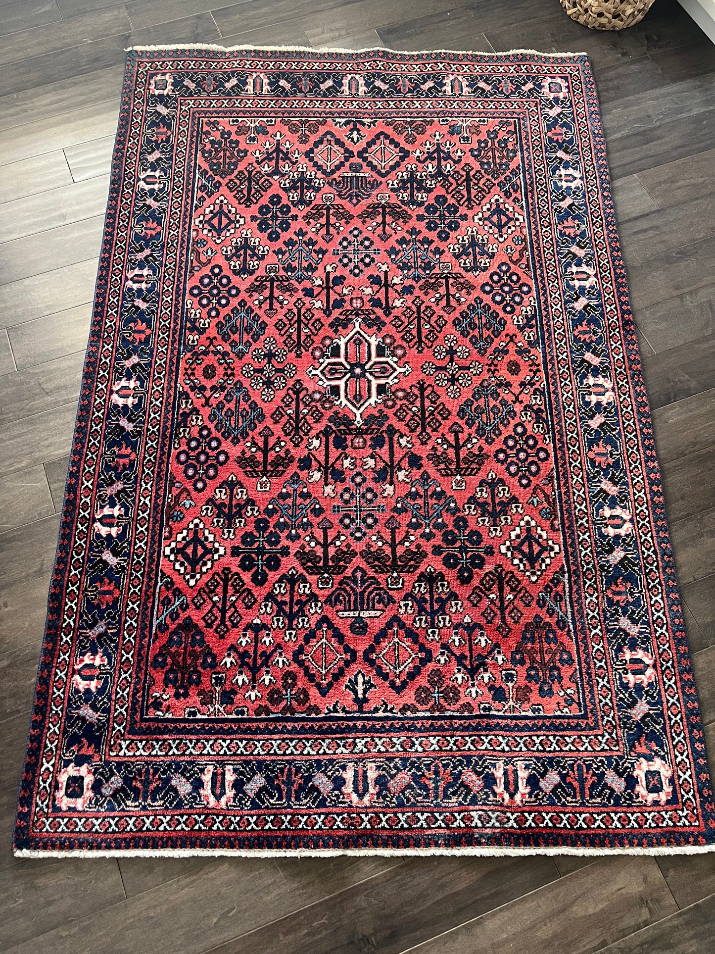 Vintage Rug #23 - 4'3" x 6'8"