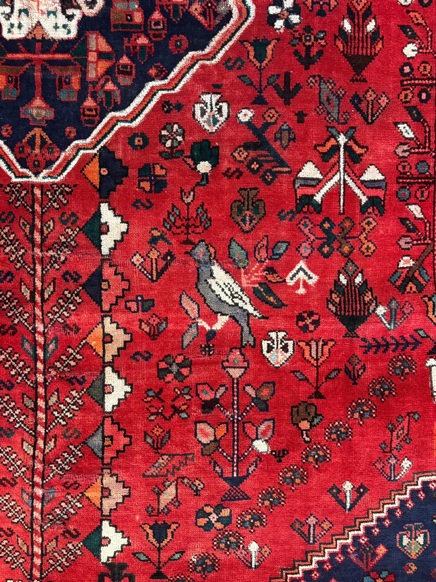 Vintage Rug #161 - 5'11 x 9'3"